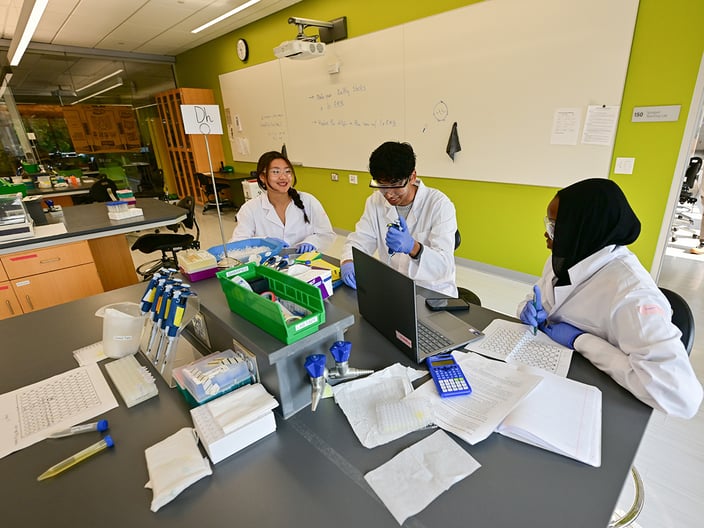 SSP Participants work in teams of three on a collaborative research project. This year, their goal is to design an effective inhibitor that will shut down an enzyme’s activity that causes disease in crop plants.