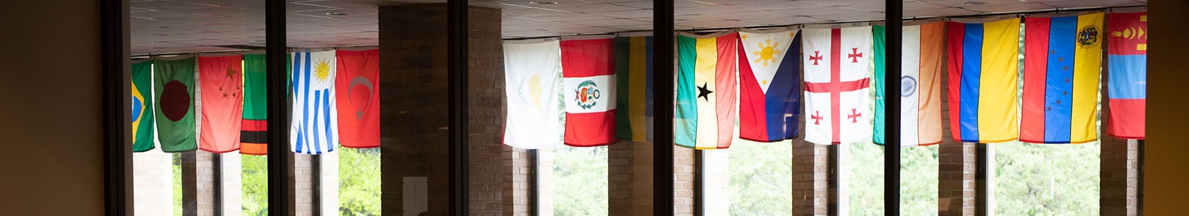Global & International Studies