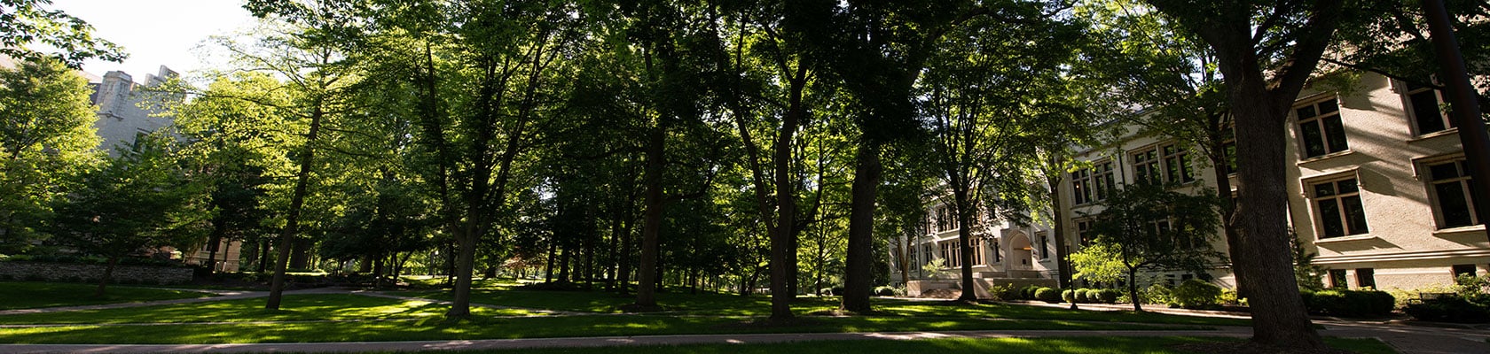 Pre-Forestry & Environmental Management