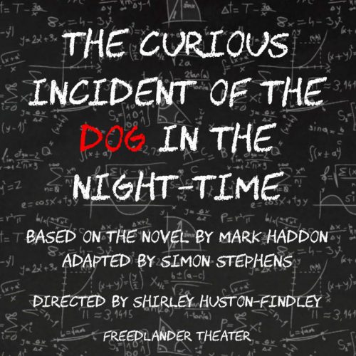 The Curious Incident of the Dog in the Night-Time poster
