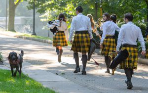 Bagpipers walking past dog