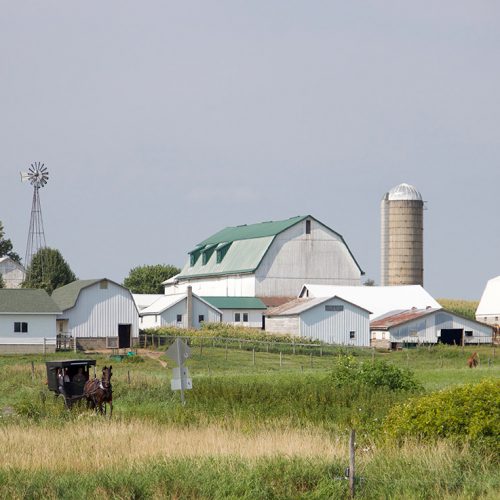Indiana Amish Farm Buggy