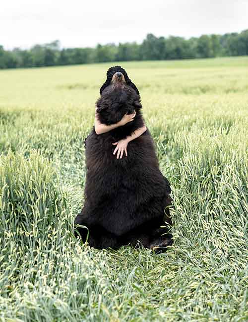 “Bear Hug” from “Wonder Tales” by Bridget Murphy Milligan
