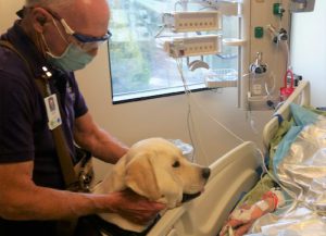 Cornelius has been providing canine therapy with his dog Bentley