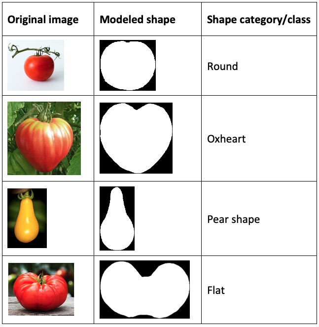 fruit-shape-examples