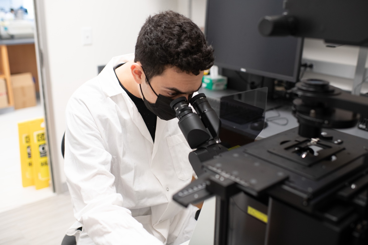 Marcel Elkouri '21 uses a microscope in the lab, a component of his Independent Study research