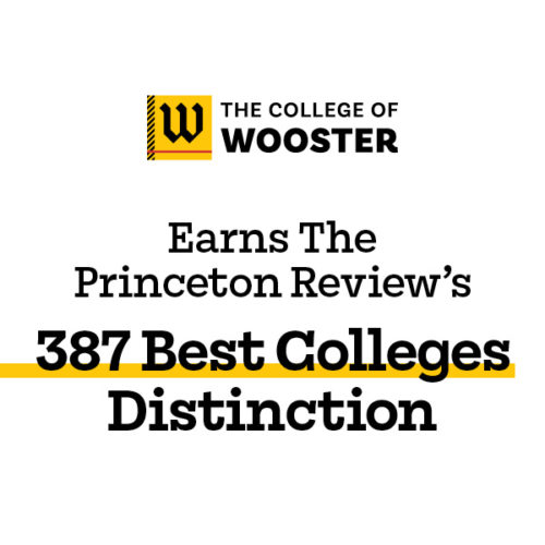 Digital Graphic Princeton Review