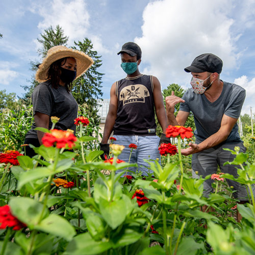 two students and an advisor observe plants with red flowers at The College of Wooster