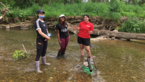 students from The College of Wooster work in a stream