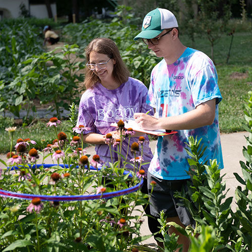 Ison and Pardi study the pollinator garden on Pine Street.