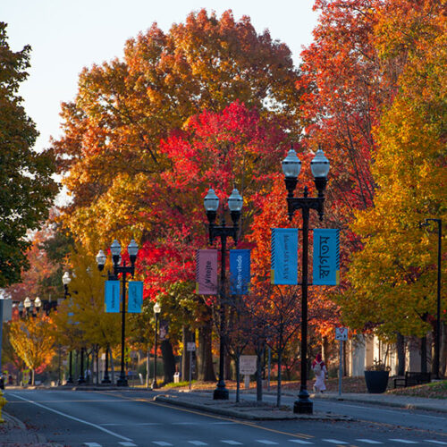 Welcome banners in front of fall foliage at The College of Wooster.