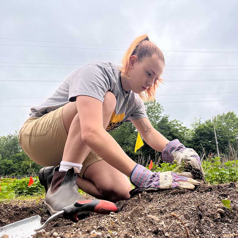 Cady Eakins '25 in her APEX Fellowship at Akron Cooperative Farms