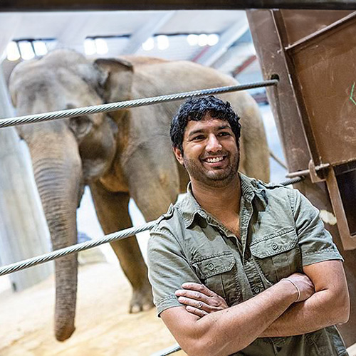 Venkatesh has spent significant time studying captive, semi-wild, and purely wild elephants abroad. 