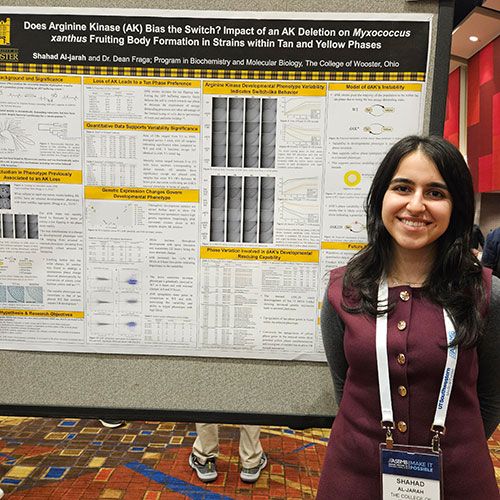 Shahad Al-jarah ’25, a biochemistry and molecular biology major, analyzed a unique phenotype with the bacterium Myxococcus xanthus.