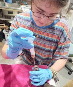 Danz often cared for the animals at the conservation center through medicine and cleaning. Photo provided by subject.