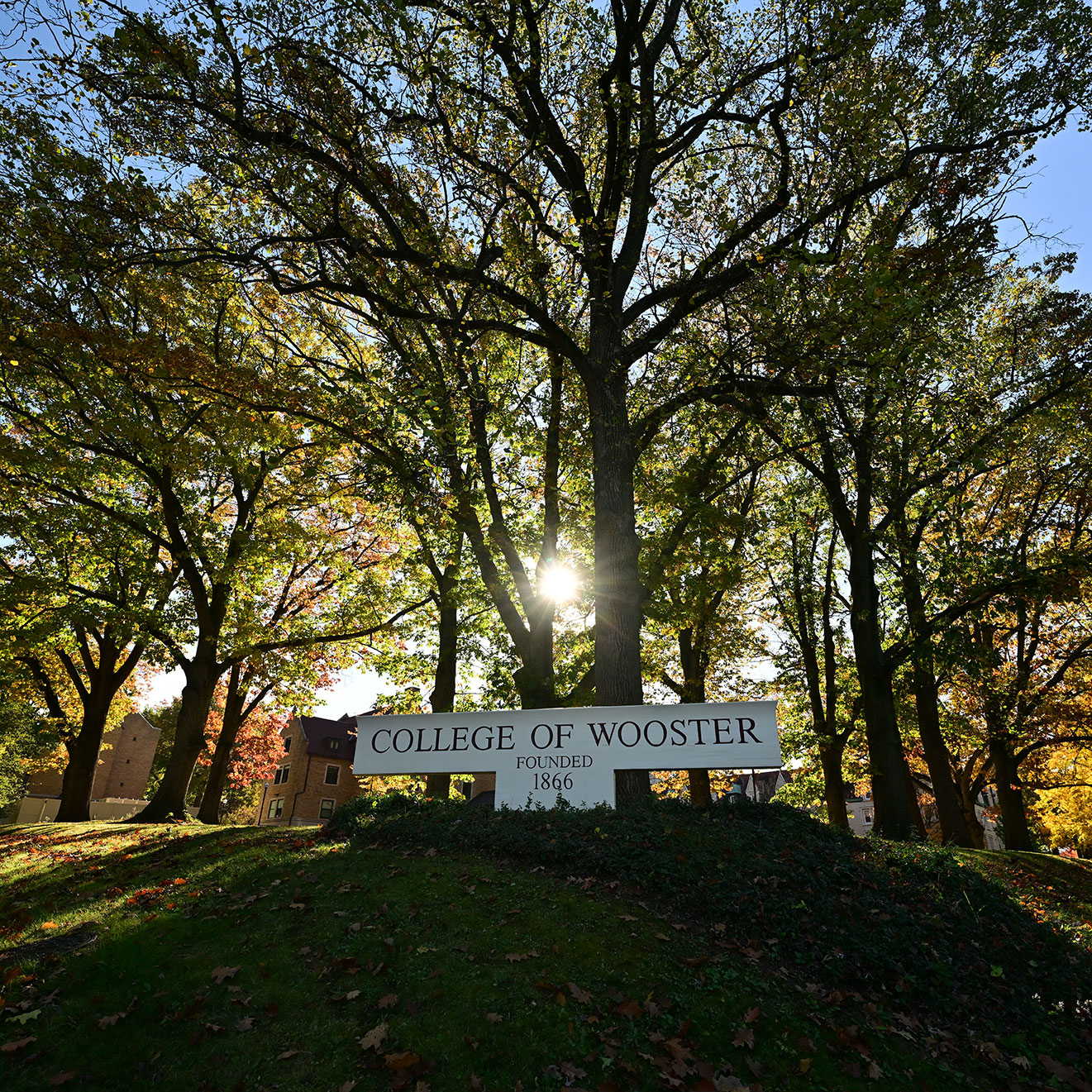 Sunlight filters through tall oak trees surrounding the College of Wooster entrance sign, which reads “College of Wooster — Founded 1866,” on a bright autumn day.