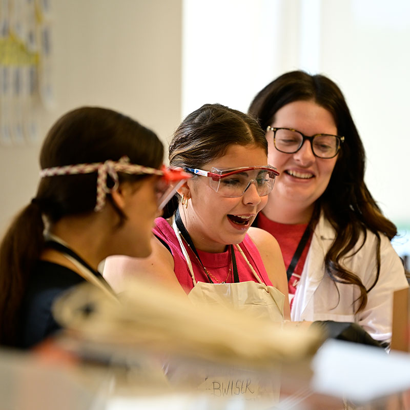 The Buckeye, Women in Science, Engineering, and Research (B-WISER) summer camp, hosted by The College of Wooster offers young girls currently completing grades seven through 10 the chance to explore science-related interests.