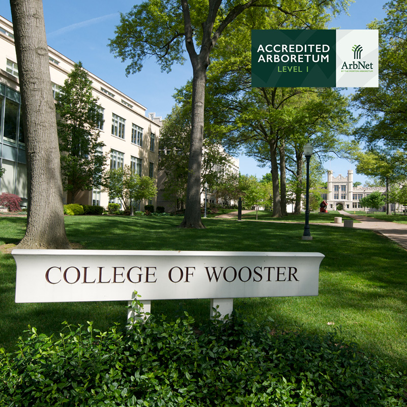 Abbey Arboretum at Wooster