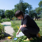 Featured image: The learning garden on Pine Street students study pollinators and insect conservation through a variety of mentored-research projects.