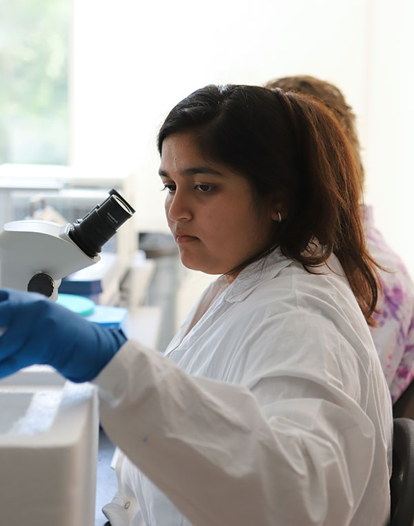 Dhwani Parsana ’21, neuroscience major, credits Sirot’s laboratory with her introduction to scientific research, allowing her to study real-world applications for understanding mosquito reproductive biology.